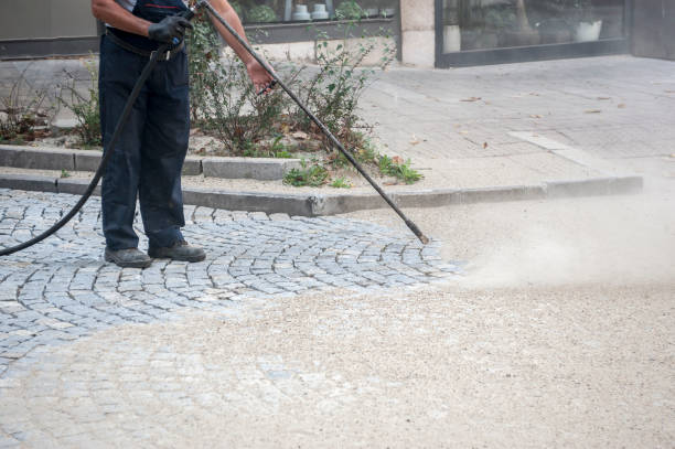 Best Gutter Cleaning  in New Rochelle, NY